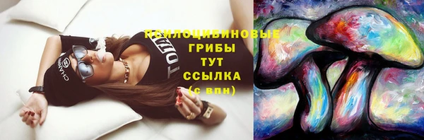 наркотики Белокуриха