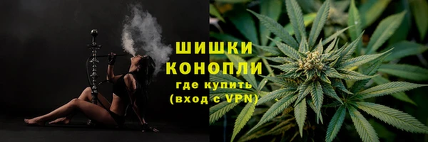таблы Богородицк